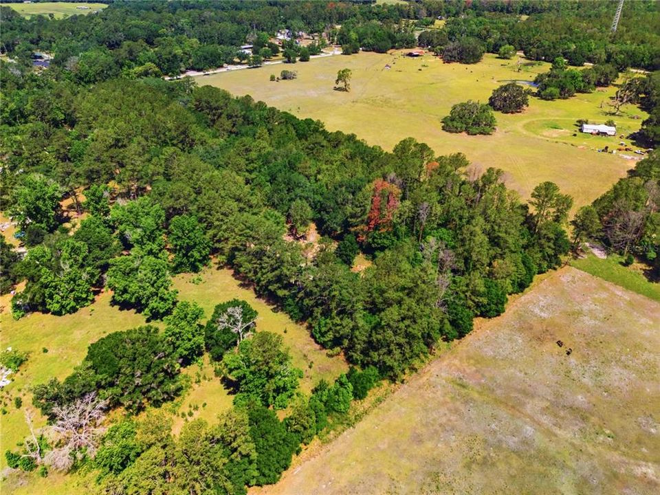 待售: $289,000 (5.00 acres)