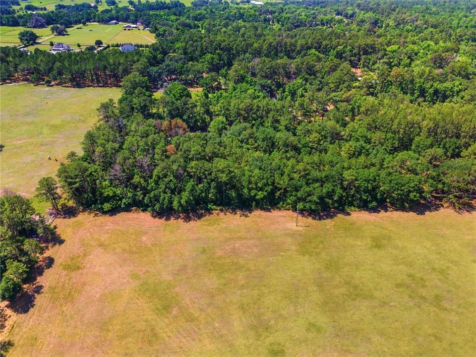 待售: $289,000 (5.00 acres)