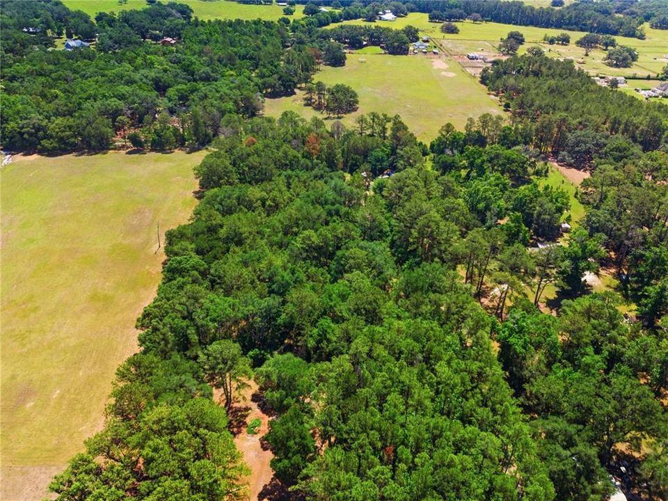 待售: $289,000 (5.00 acres)