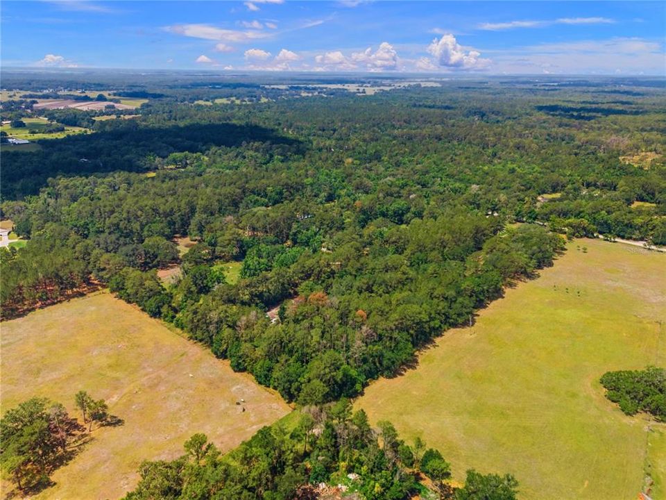 待售: $289,000 (5.00 acres)