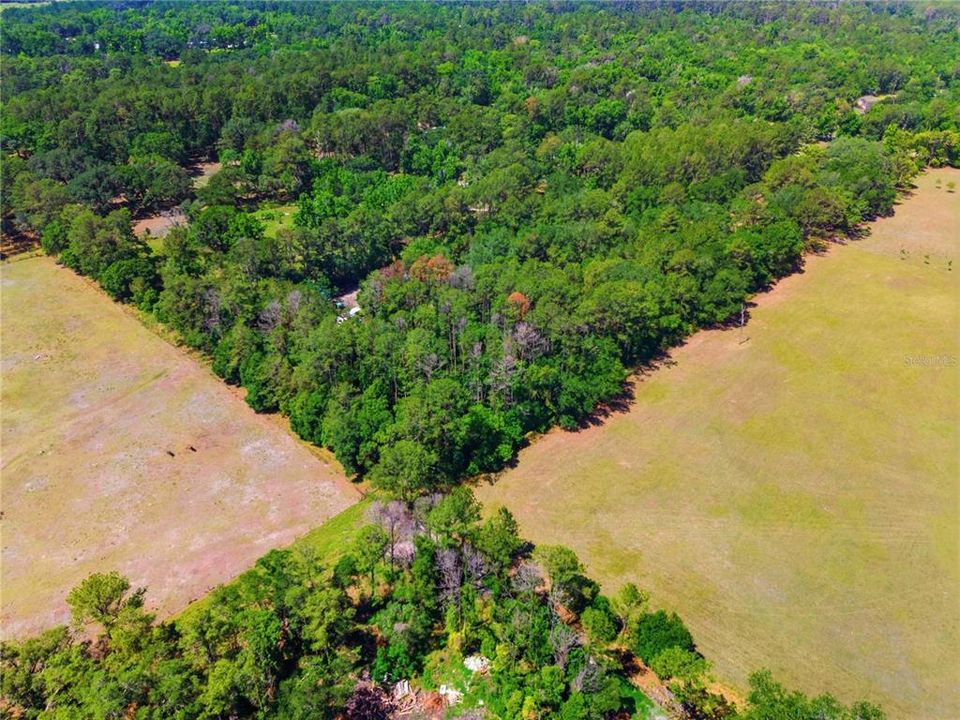 待售: $289,000 (5.00 acres)