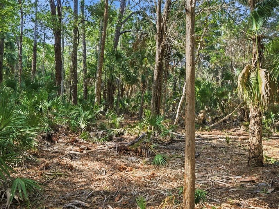 For Sale: $150,000 (4.80 acres)