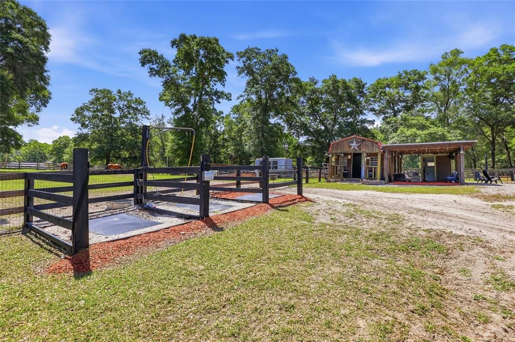 Active With Contract: $299,900 (5.89 acres)