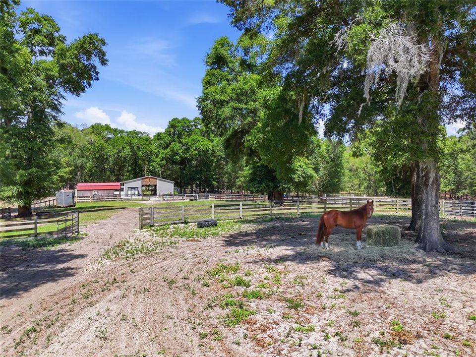 Active With Contract: $299,900 (5.89 acres)