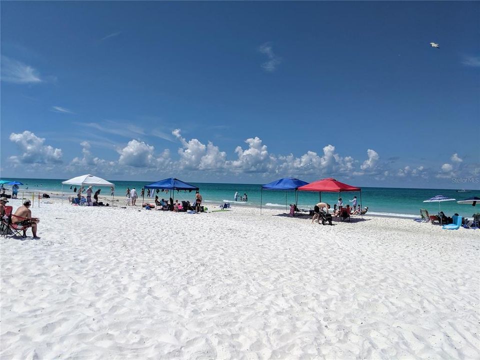 Active With Contract: $1,450 (1 beds, 1 baths, 576 Square Feet)