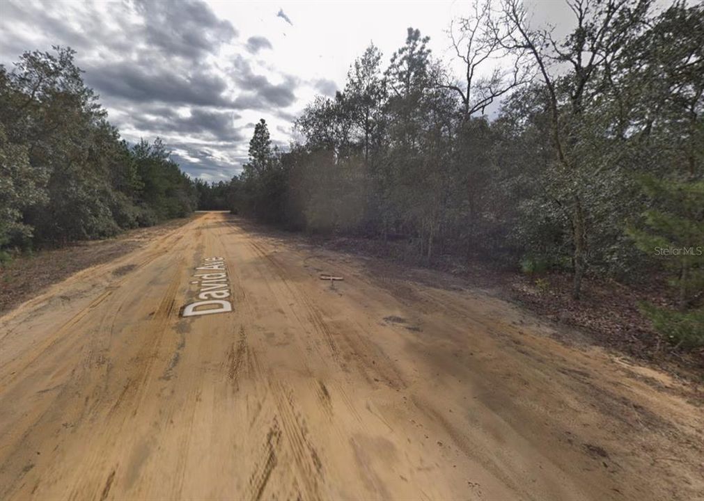 待售: $6,800 (0.22 acres)