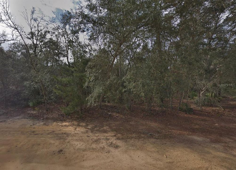 待售: $6,800 (0.22 acres)