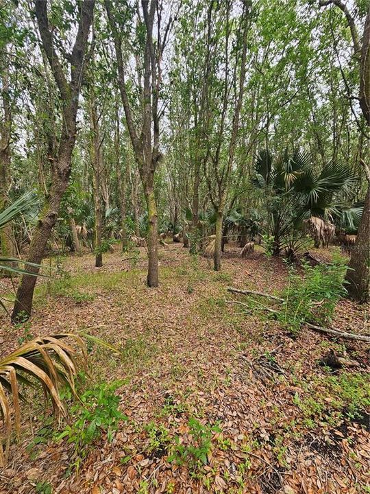 Под контрактом: $325,000 (8.88 acres)