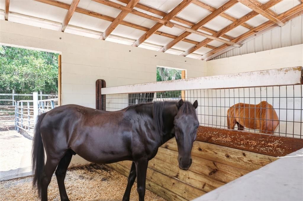 En Venta: $1,300,000 (3 camas, 3 baños, 1696 Pies cuadrados)