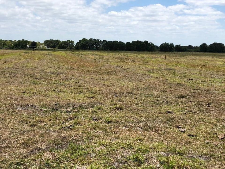For Sale: $6,900,000 (37.61 acres)
