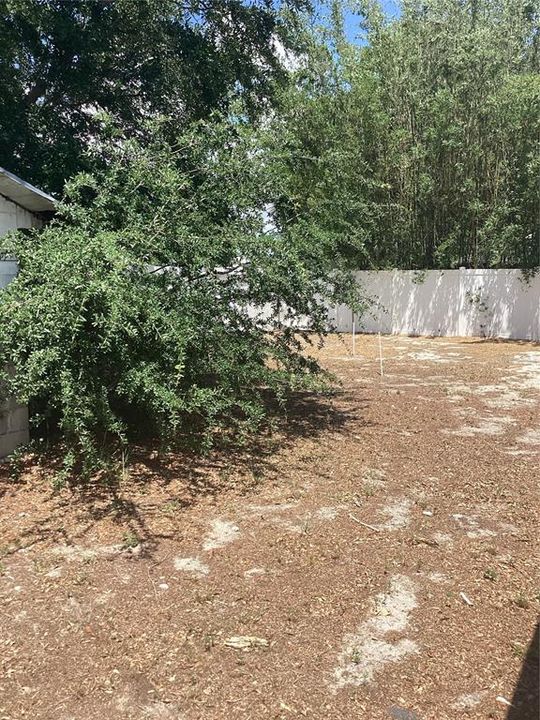 Activo con contrato: $309,999 (3 camas, 1 baños, 1830 Pies cuadrados)