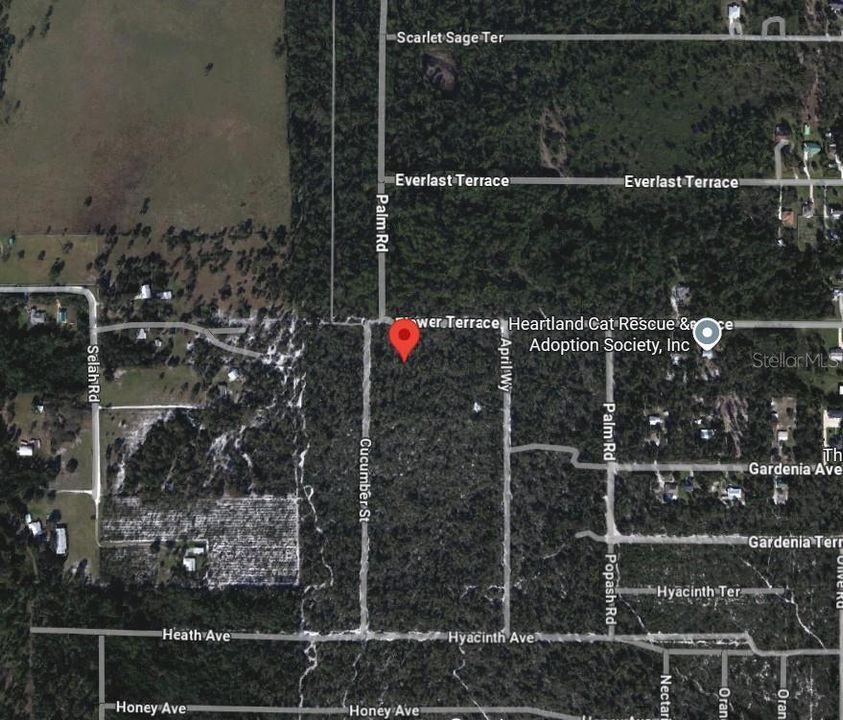 For Sale: $35,000 (0.98 acres)