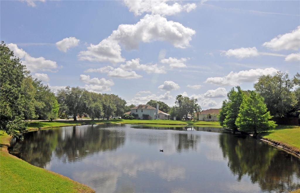 For Rent: $2,650 (4 beds, 2 baths, 2036 Square Feet)