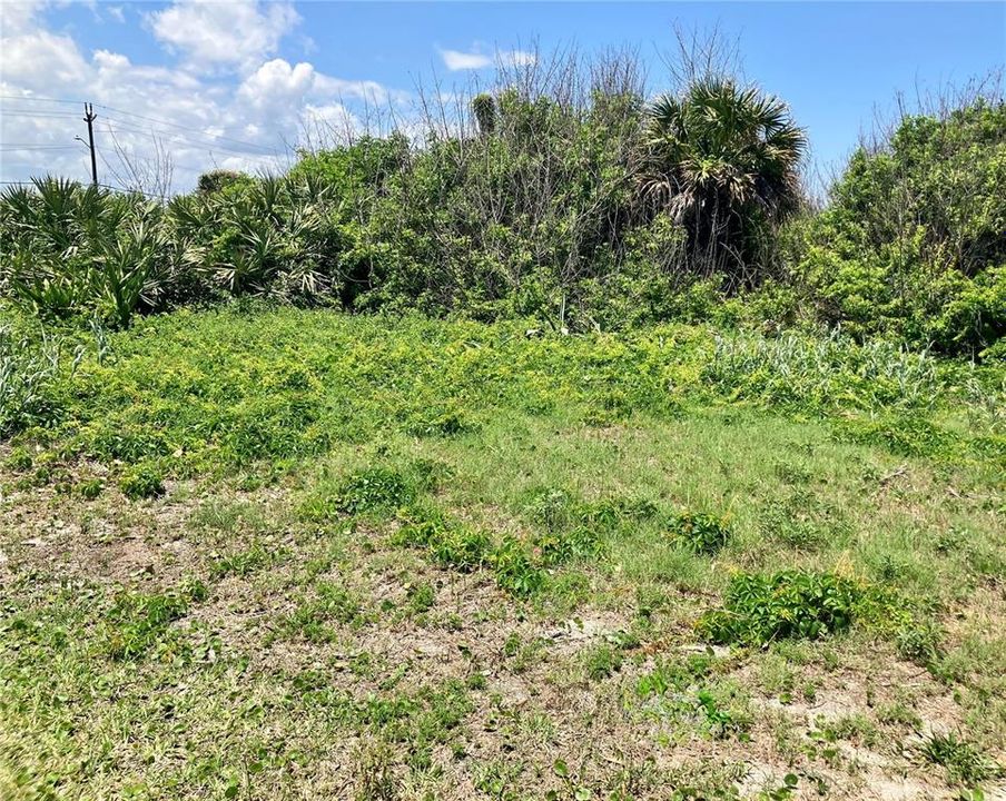 En Venta: $499,000 (0.07 acres)