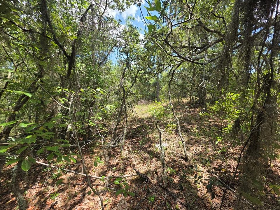 合同活跃: $24,900 (1.01 acres)