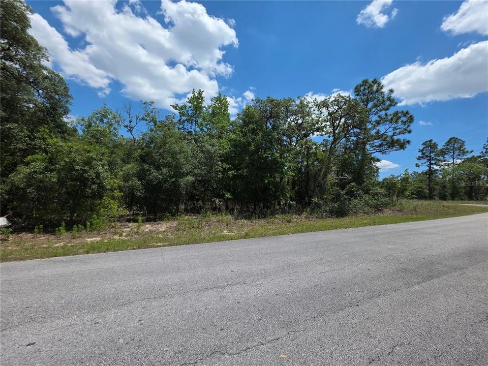 合同活跃: $24,900 (1.01 acres)