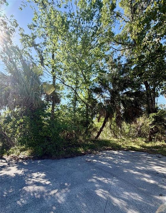 Activo con contrato: $20,000 (0.61 acres)
