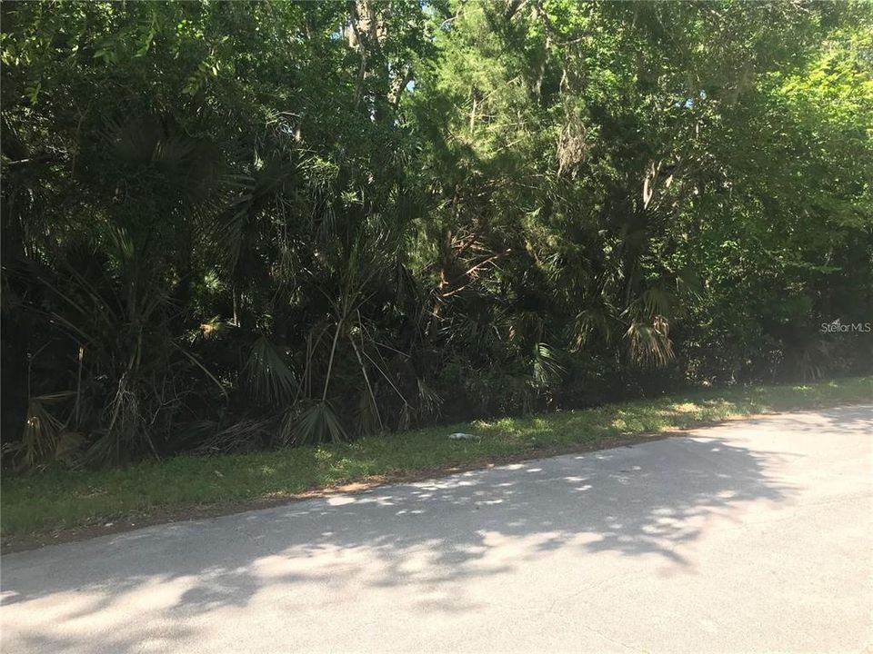 For Sale: $99,000 (0.46 acres)