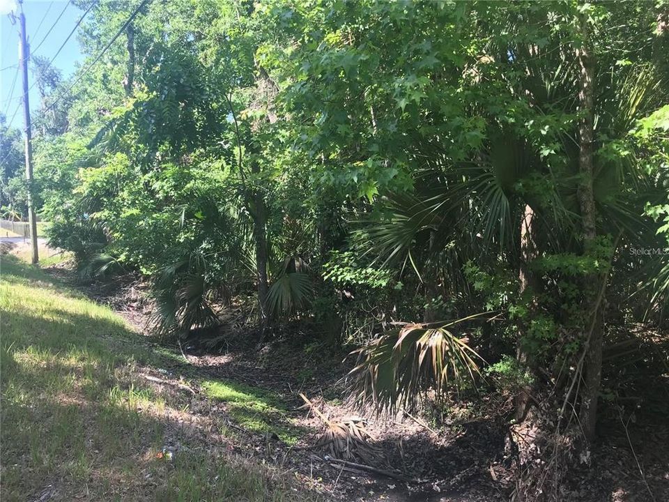 For Sale: $99,000 (0.46 acres)