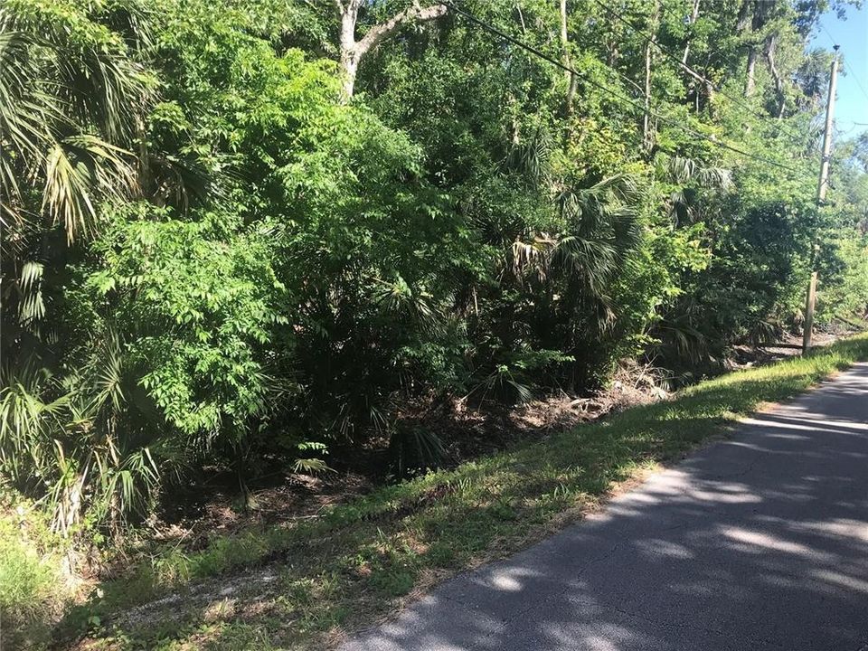 For Sale: $99,000 (0.46 acres)