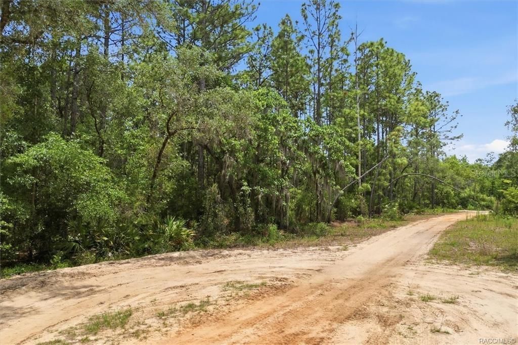 Active With Contract: $55,000 (2.53 acres)
