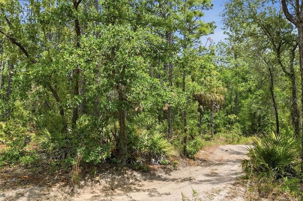 Active With Contract: $55,000 (2.53 acres)