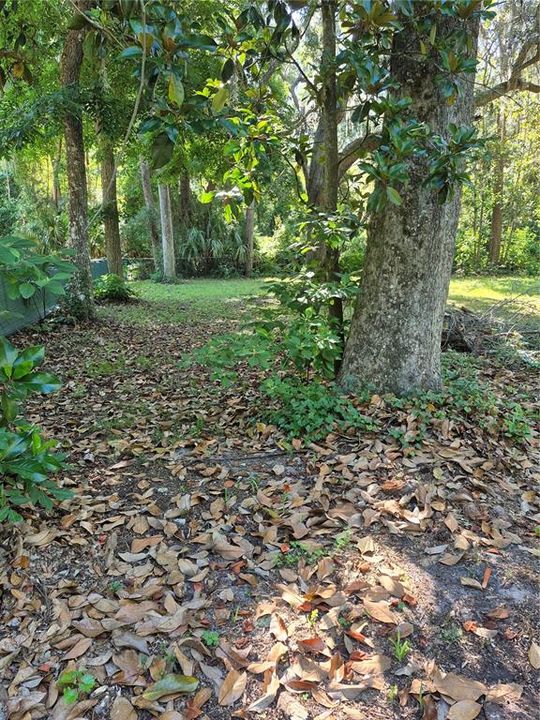 For Sale: $50,000 (0.21 acres)