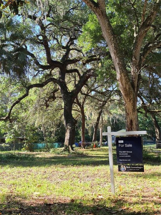 For Sale: $50,000 (0.21 acres)