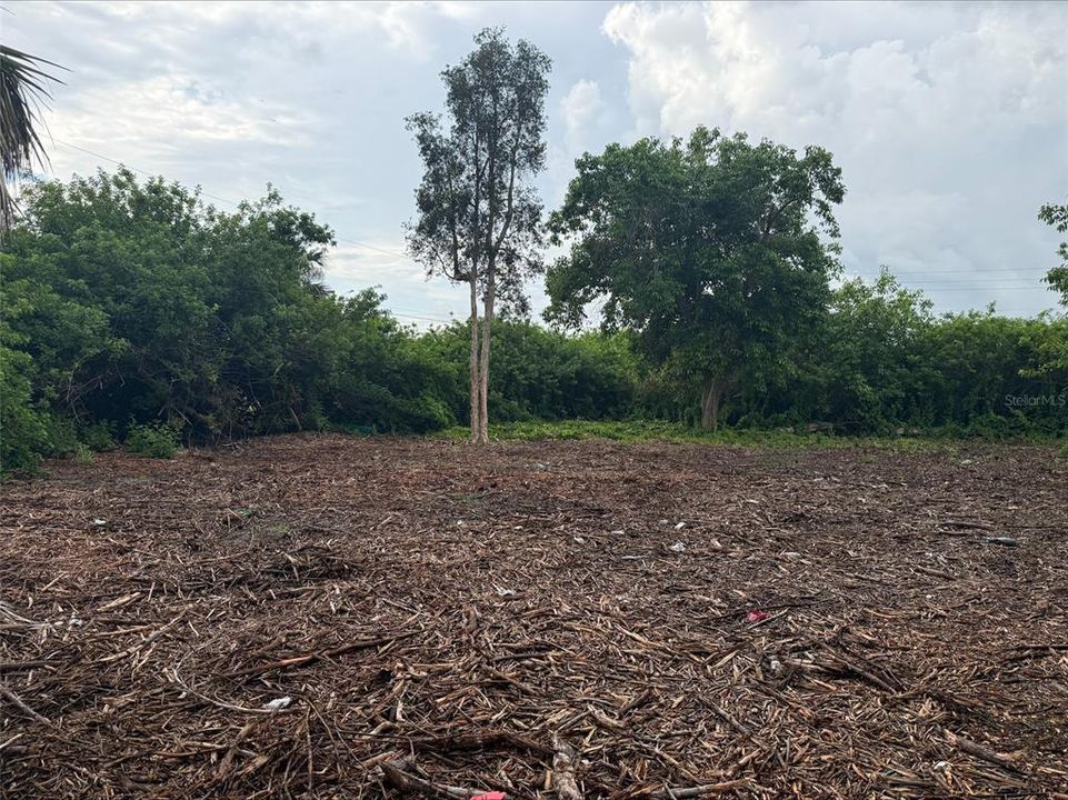 For Sale: $39,500 (0.30 acres)