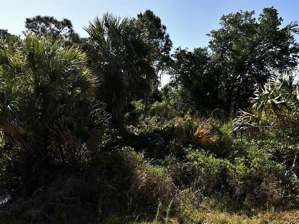 待售: $20,000 (0.23 acres)