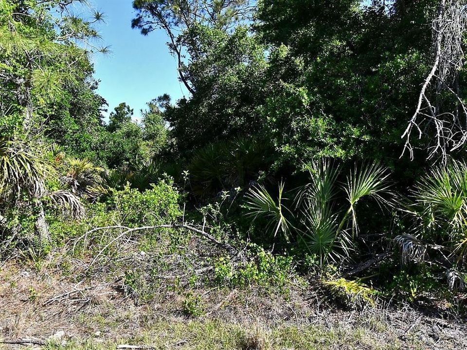 На продажу: $20,000 (0.26 acres)
