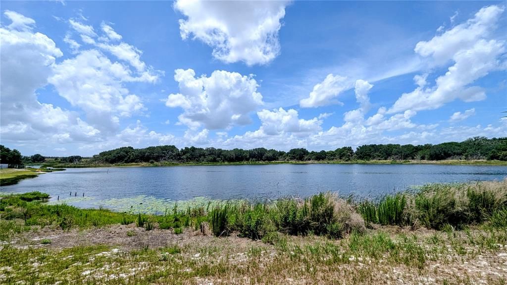 For Sale: $125,000 (0.64 acres)