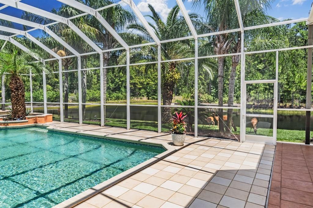 En Venta: $1,199,900 (3 camas, 3 baños, 3426 Pies cuadrados)