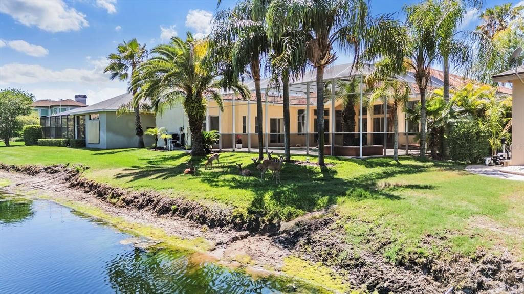 En Venta: $1,199,900 (3 camas, 3 baños, 3426 Pies cuadrados)