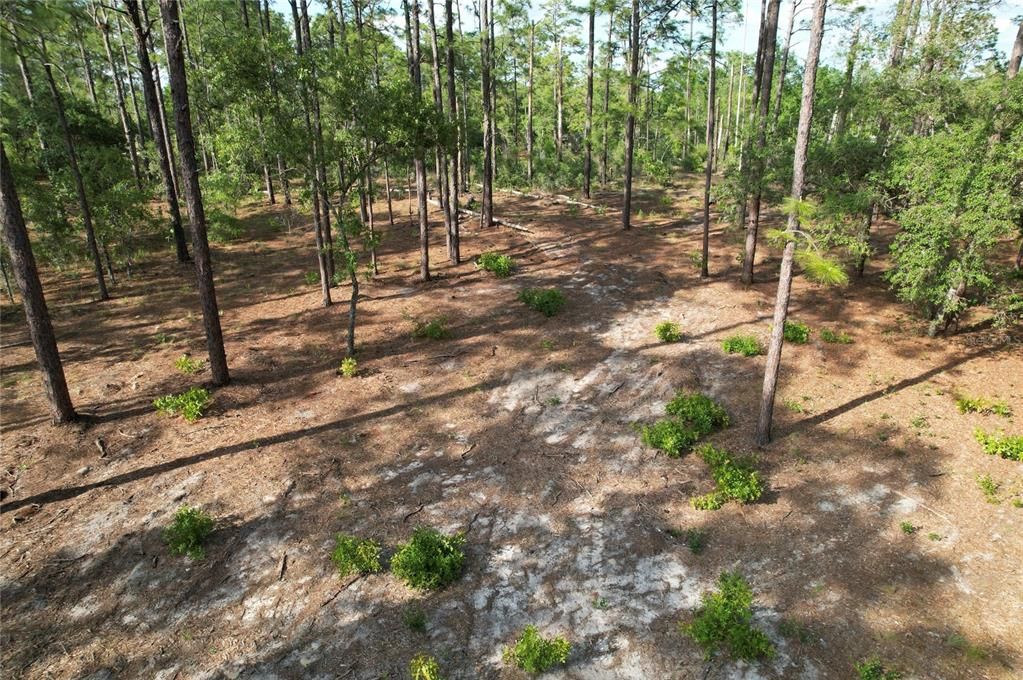 待售: $27,995 (1.25 acres)