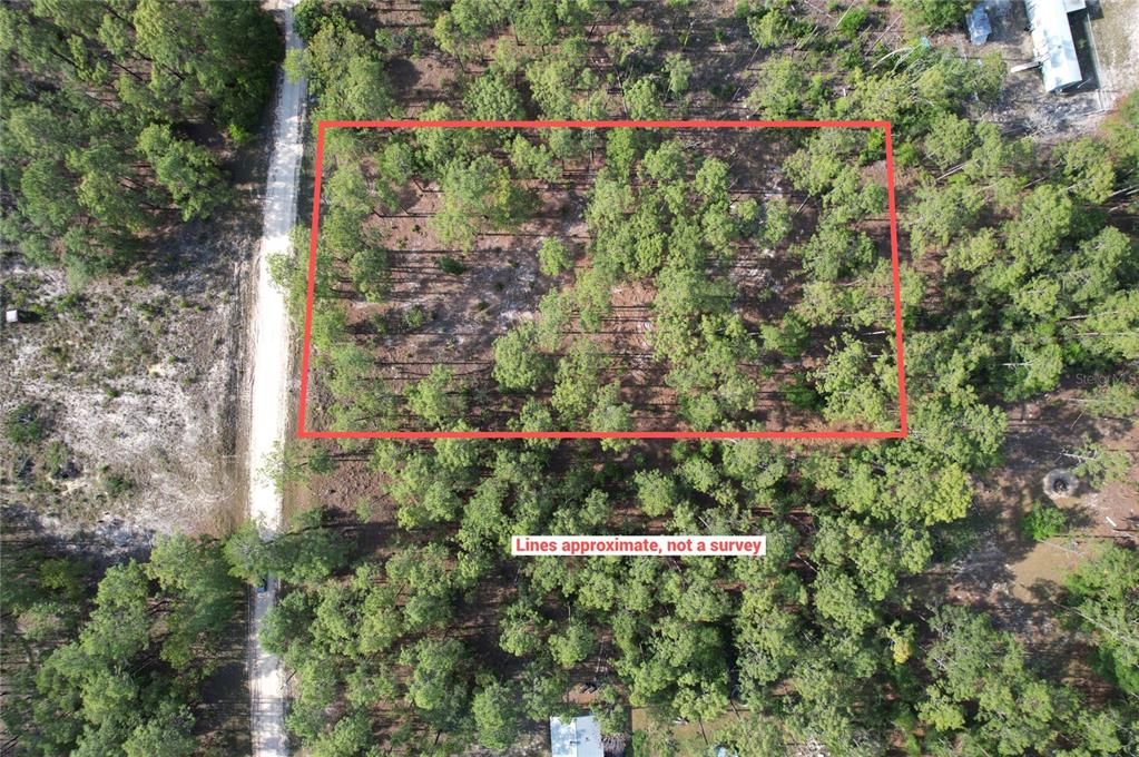 待售: $27,995 (1.25 acres)