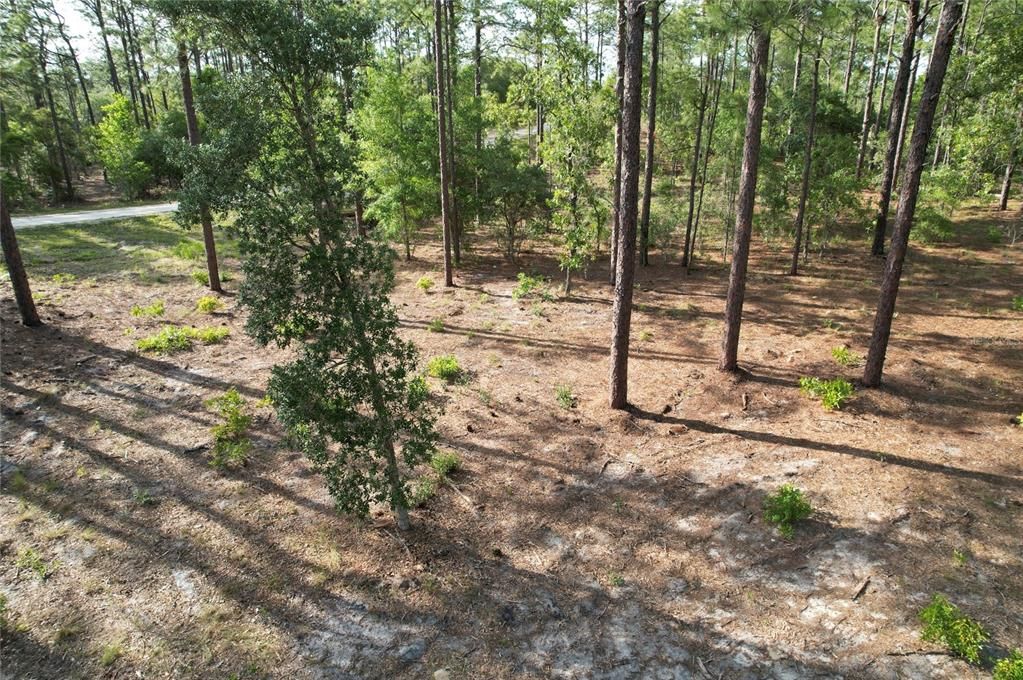 待售: $27,995 (1.25 acres)