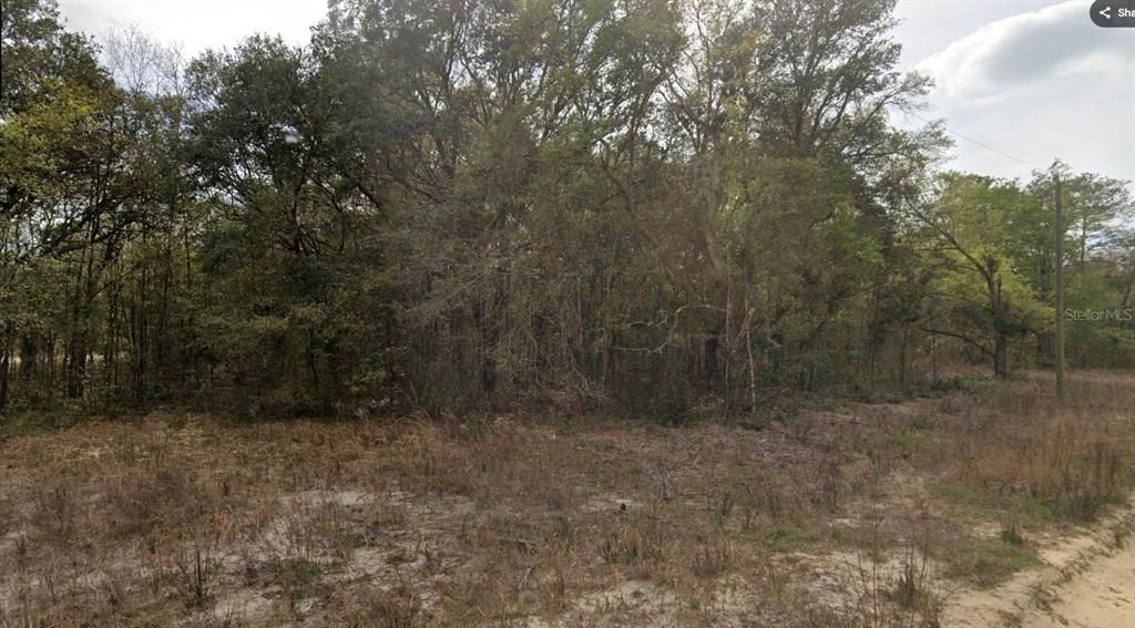 For Sale: $14,000 (0.33 acres)