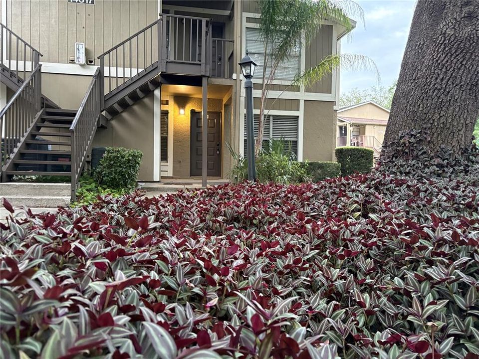 For Rent: $1,590 (2 beds, 2 baths, 912 Square Feet)