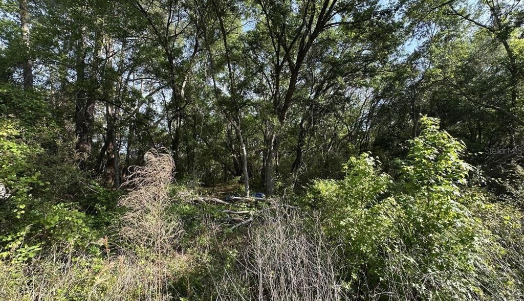 For Sale: $18,000 (0.29 acres)