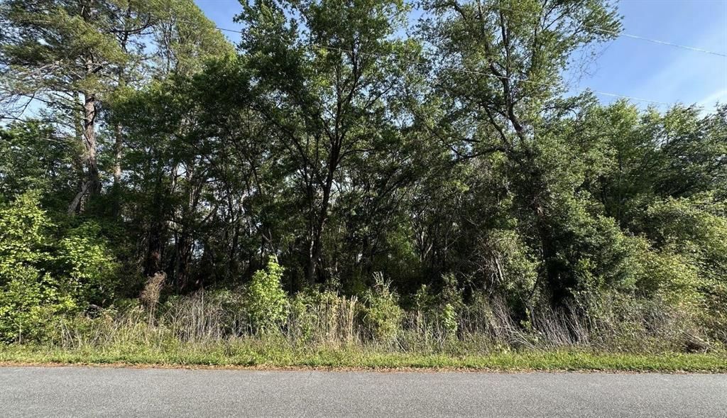 For Sale: $18,000 (0.29 acres)