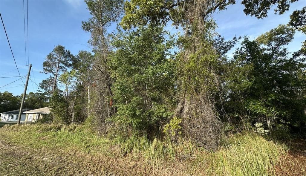 For Sale: $37,500 (0.46 acres)