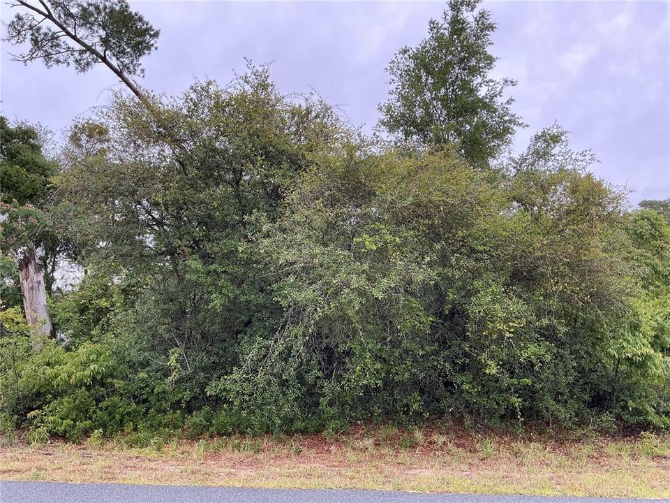 待售: $50,000 (0.32 acres)