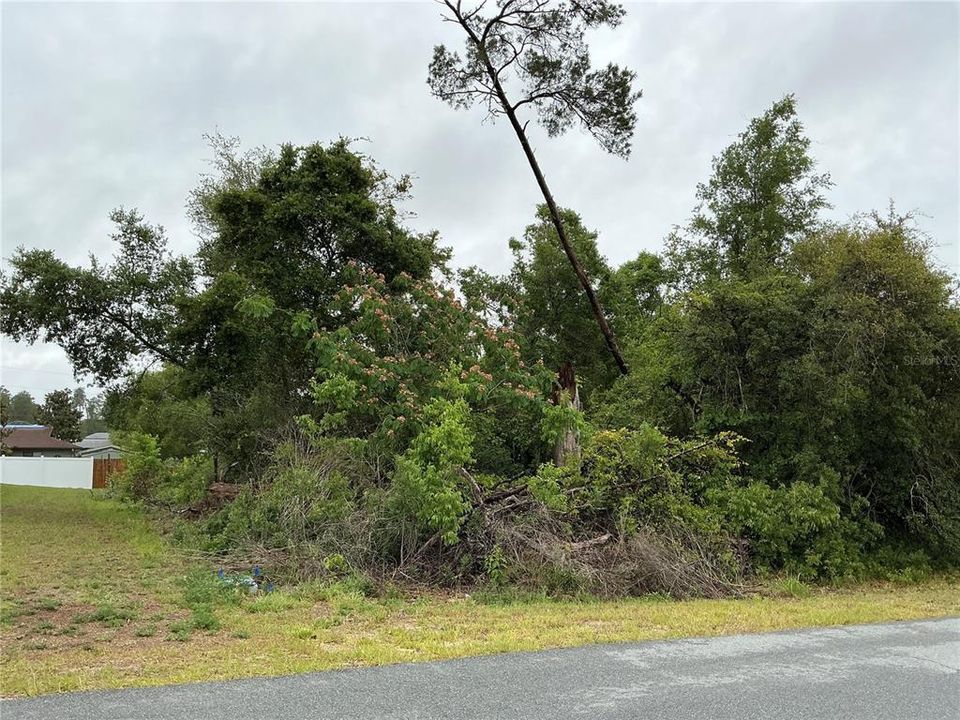 待售: $50,000 (0.32 acres)