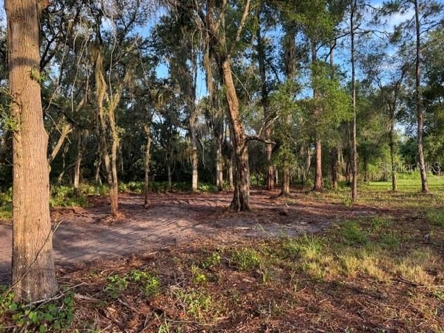 En Venta: $99,000 (1.02 acres)