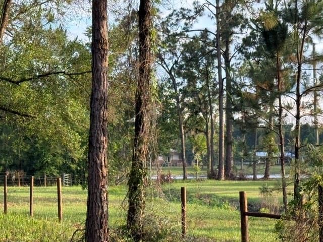 En Venta: $99,000 (1.02 acres)