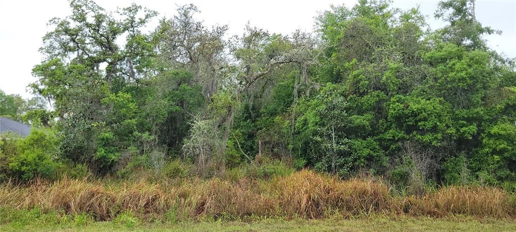 En Venta: $35,000 (0.23 acres)