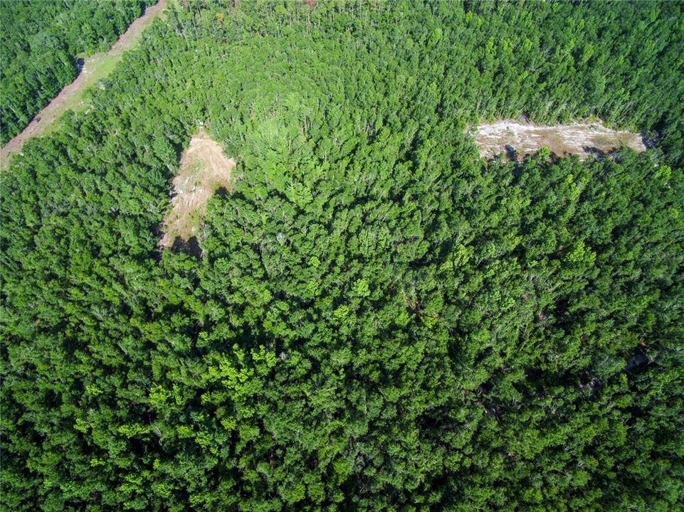 待售: $528,000 (43.93 acres)