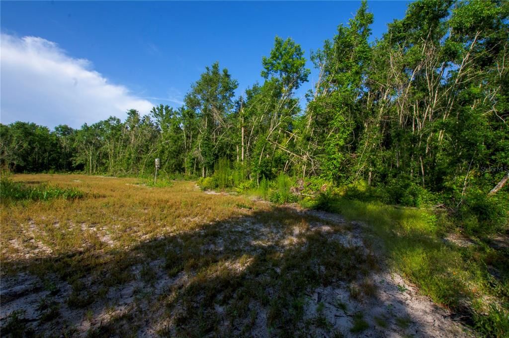 待售: $528,000 (43.93 acres)