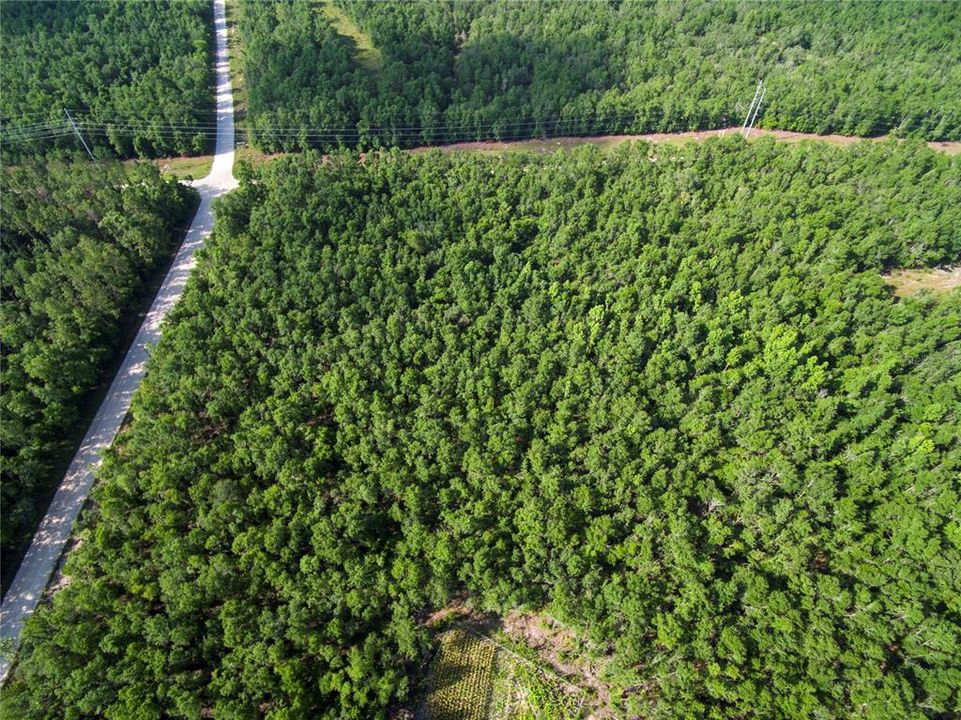 待售: $528,000 (43.93 acres)